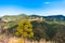 Flower on a background of mountains in Siurana de Prades, Tarragona, Catalunya, Spain. Copy space for text.