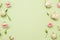 Flower background rose decor green background