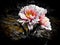 Flower background walpaper aster krisan