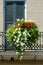 Flower Basket in French Quarter