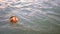 Flower baskets floating in the river Ganga in India during puja