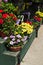 Flower baskets for sale