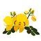 The flower is a beautiful yellow Cassia fistula. Plants and the plant world. Vector flat illustration