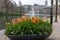 A flower bed with blooming tulips in front of Binnenhof - Dutch Parliament with Hofvijver pond, The Hague