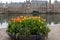 A flower bed with blooming tulips in front of Binnenhof - Dutch Parliament with Hofvijver pond, The Hague,