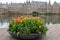 A flower bed with blooming tulips in front of Binnenhof - Dutch Parliament with Hofvijver pond, The Hague,