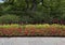 Flower bed at the Dallas Arboretum and Botanical Garden