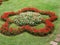 Flower bed in exotic garden Parque Terra Nostra in the town of Furnas on the island of Sao Miguel in the Azores