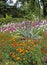 Flower bed in Livadiysky park, the Crimea