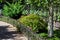 A flower bed with plants surrounded by an iron fence.