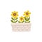 Flower bed or pot to grow sunflowers in the garden or farm. Isolated gardening illustration in watercolor