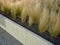 flower bed raised stipa capillata tenuissima dry gravel concrete pavement