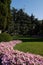 A flower bed with small pink flowers near a smoothly cut lawn ag