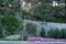 A flower bed with small pink flowers at the stairway leading deep into the green park zone