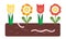 Flower bed with soil and earthworm under the ground - suitable a