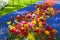 A flower bed with tulips of different colors. Park with flowers Keukenhof in the spring. Holland. Background