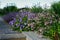 Flower bed of various cereals surrounded by granite paving