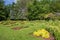 Flower beds in the annual garden in Elizabeth Park