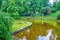 Flower beds on the bank of Ionian Sea lake in Sofiyivka Park, Uman, Ukraine