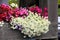 Flower beds of different varieties of flowers on wooden porch