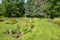 Flower beds in the Elizabeth Park annual garden backed by large trees