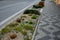 Flower beds an street with cobbled sidewalks stone cobblestone mosaic. spring bulbs bloom in front of perennials in a gravel bed.