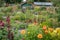 flower beds and vegetable patches in a diverse, vibrant community garden