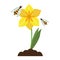 Flower with bees cartoon isolated