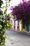 Flower bloom on the colorful street of Cartagena, Colombia