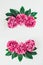 Flower border frame made of bright pink buds peony bouquet on a white wooden background. Floral texture mockup. Flat lay, top view