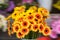 Flower bouquet of gerberas of yellow color