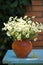 Flower bouquet in vase in front of stone wall. Outdoor arrangement of flowers