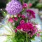 Flower bouquet in vibrant colors, beautiful arrangement with allium, celosia or cockscomb, lisianthus