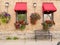 Flower boxes and hanging plants