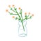 Flower branch in glass vase. Fragile floral plant, field bloom, cut stem for interior decoration. Spring, summer