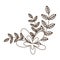 Flower branch leaves foliage line icon style