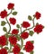 Flower branch roses, bouquet of flowers. Ornament with red roses.