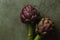 Flower buds of globe artichokes.