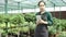 Flower business female owner using tablet computer in a greenhouse