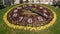 Flower-clock in Alexander park, Saint-Petersburg