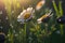 Flower closeup, beautiful meadow, generative AI