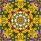 Flower color pattern violet kaleidoscope