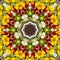 Flower color pattern violet kaleidoscope