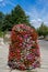 Flower column with geranium flowers