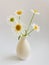 Flower composition.  High key photography with white daisies in a clay vase on a white background.  Natural light template for