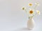 Flower composition.  High key photography with white daisies in a clay vase on a white background.  Natural light template for