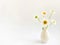 Flower composition.  High key photography with white daisies in a clay vase on a white background.  Natural light template for