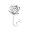 Flower continuous one line art drawing vector illustration. Awesome rose isolated on white background