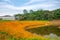 The flower corridor of the world garden in Banan, Chongqing