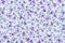 Flower cotton fabric background